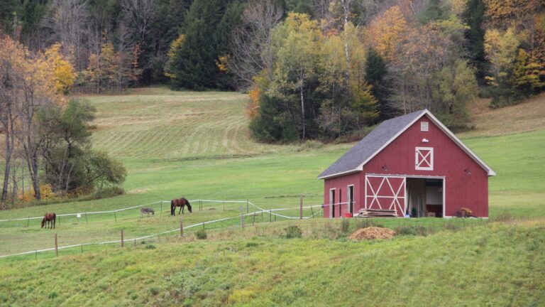 Revolutionize Your Property with These Top Pole Barn Kits