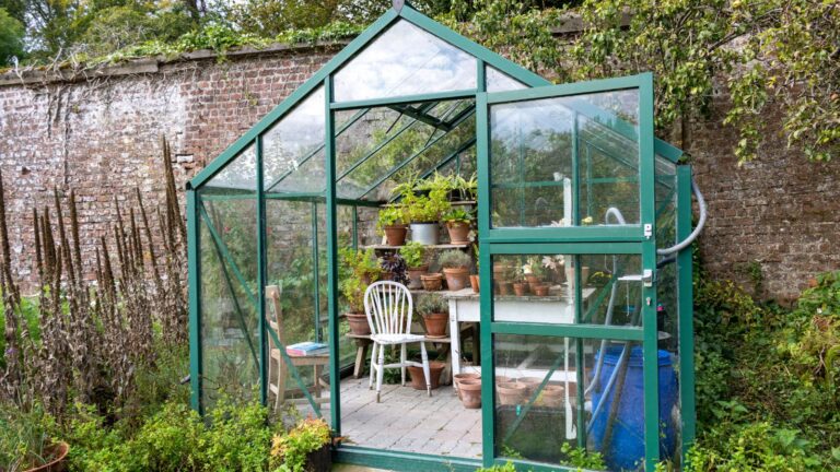 Winter Greenhouse Gardening: Tips and Tricks for a Successful Season