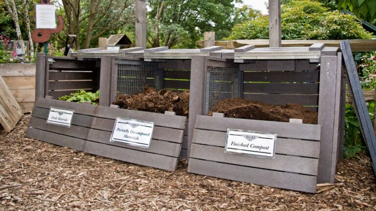The Ultimate Guide to Starting Your Own Compost Bin