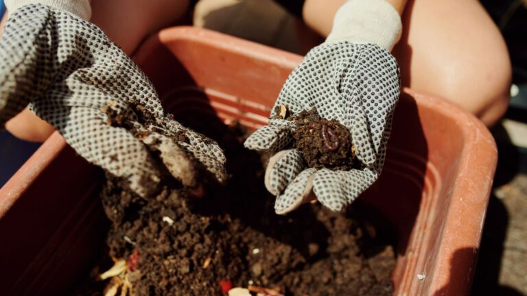 The Benefits of Using Organic Fertilizer for Your Garden