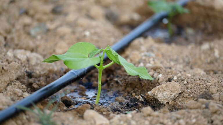 Getting Started with Drip Irrigation System: A Beginner’s Guide