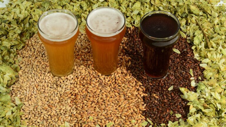 Homebrew Beer: Your Complete Guide to DIY Brewing