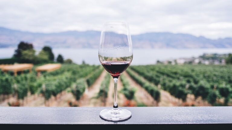 Understanding Natural Wine: A Beginner’s Guide