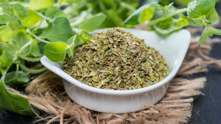 Discover the Amazing Benefits of Oregano Plant for your Health
