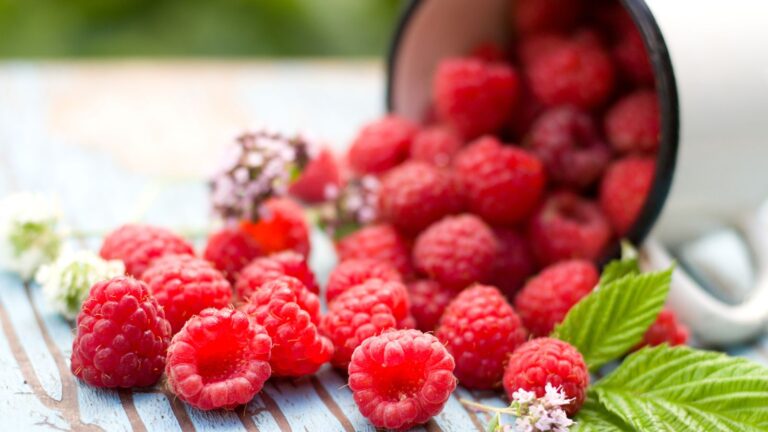 Raspberries Health Benefits: The Ultimate Guide to Goodness!