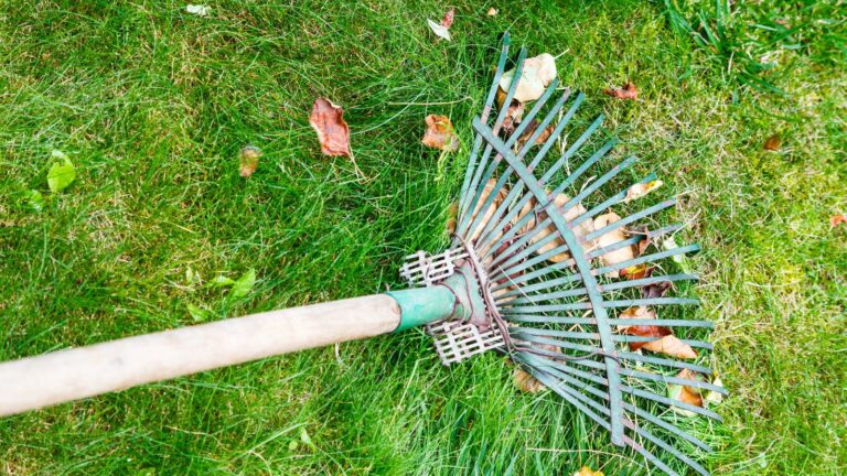 The Ultimate Guide to Choosing the Best Leaf Rake for Your Needs