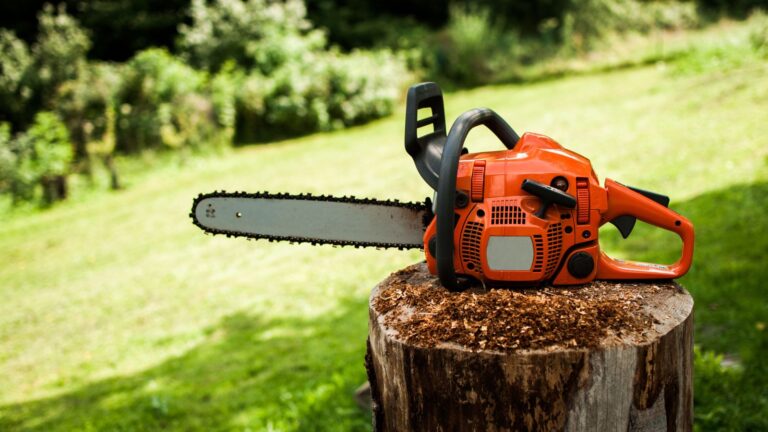 Cutting-edge Efficiency: A Guide to the Best Cordless Chainsaws