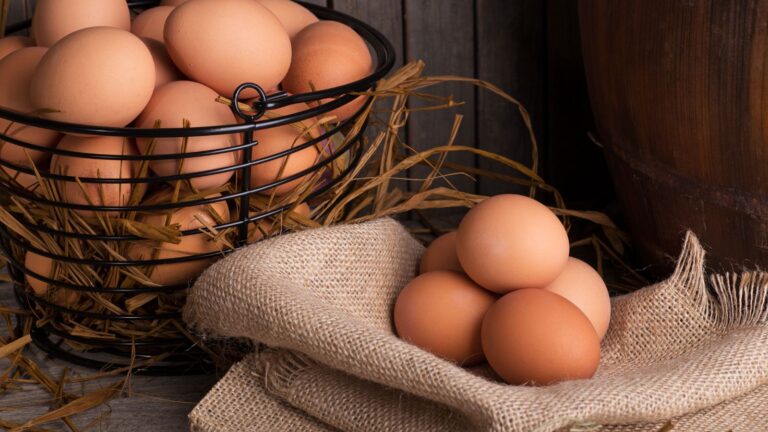 Brown Eggs vs. White Eggs: The Ultimate Egg Showdown