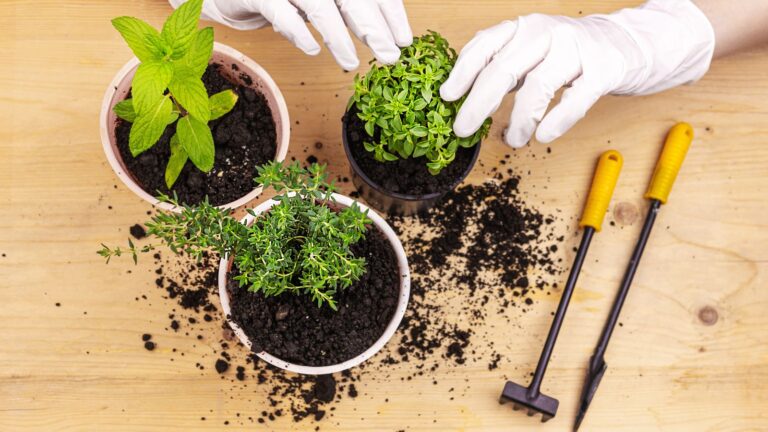 Master Herbal Gardening: The Ultimate Beginner’s Guide