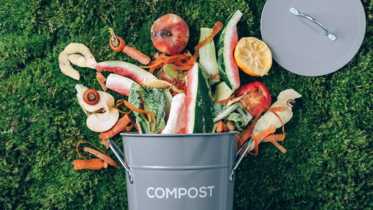 The Ultimate Guide to Choosing and Using a Composting Bin for Your Garden