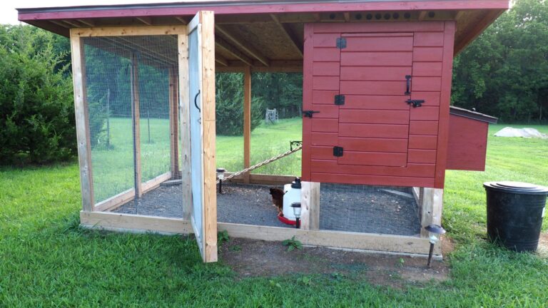 10 DIY Tips for Building the Perfect Chicken Coop