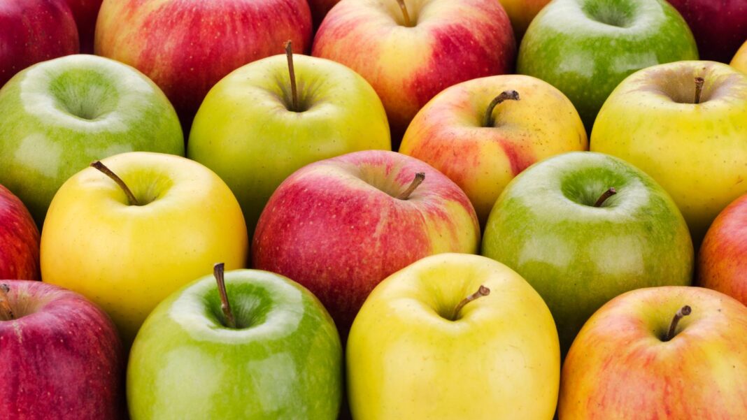 the-best-organic-apple-varieties-you-need-to-try-today