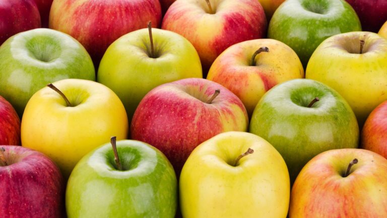 Exploring the Wide Range of Organic Apple Varieties: A Guide to Finding Your Perfect Pick