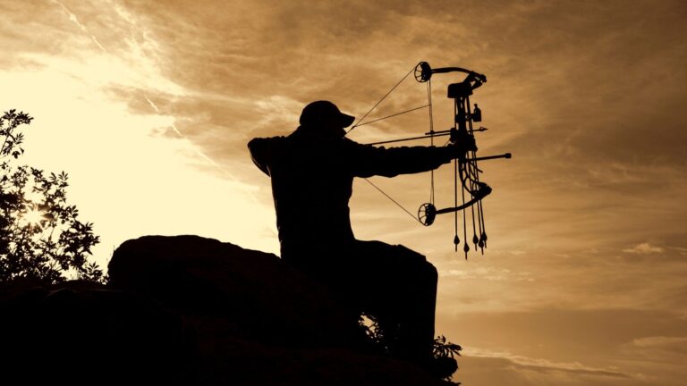 10 Essential Bowhunting Tips for Beginners